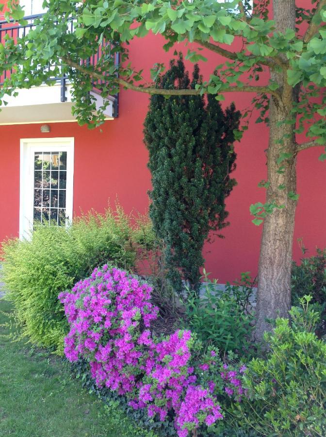 'L Sass Bed & Breakfast Borgomanero Exterior photo