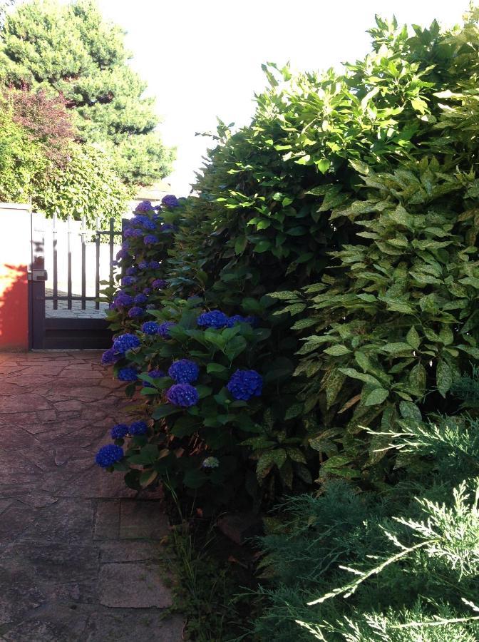 'L Sass Bed & Breakfast Borgomanero Exterior photo